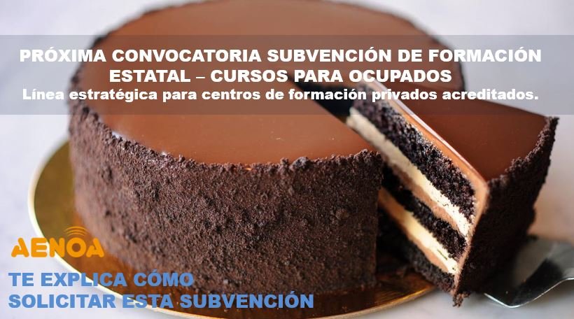subvencion formacion ocupados